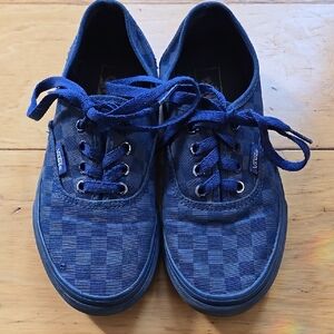 Blue Checkered Vans